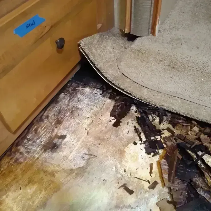 Best Wood Floor Water Damage Service in Westchase, FL